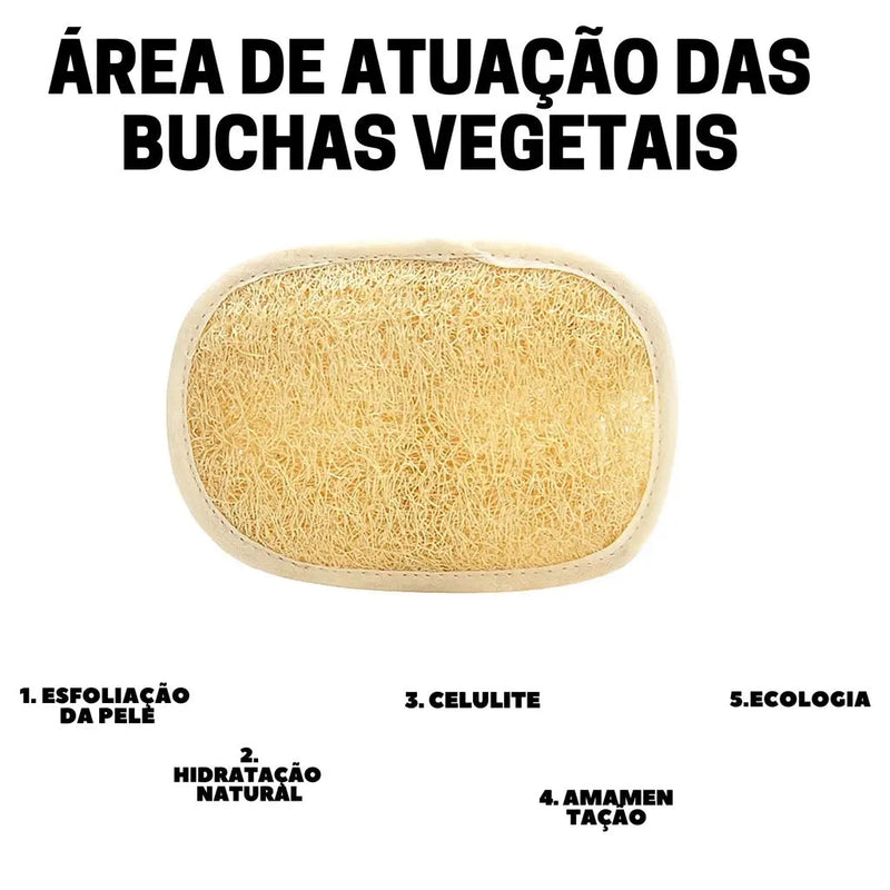 Bucha Vegetal Para Banho Esfoliante Totalmente Natural 10 Unidades
