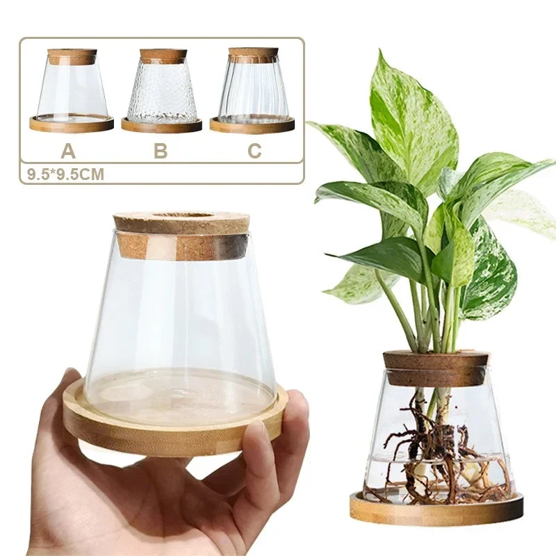 Vaso de plantas