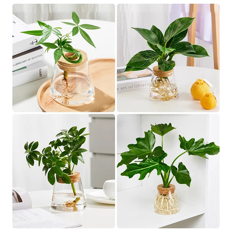 Vaso de plantas