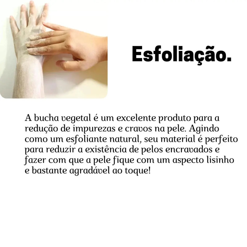 Bucha Vegetal Para Banho Esfoliante Totalmente Natural 10 Unidades