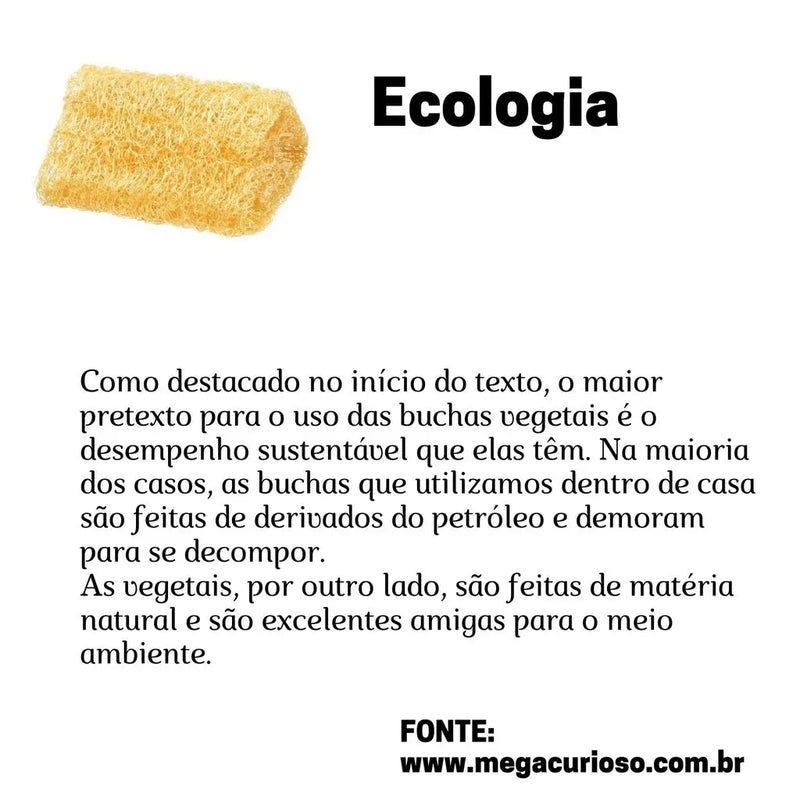 Bucha Vegetal Para Banho Esfoliante Totalmente Natural 10 Unidades