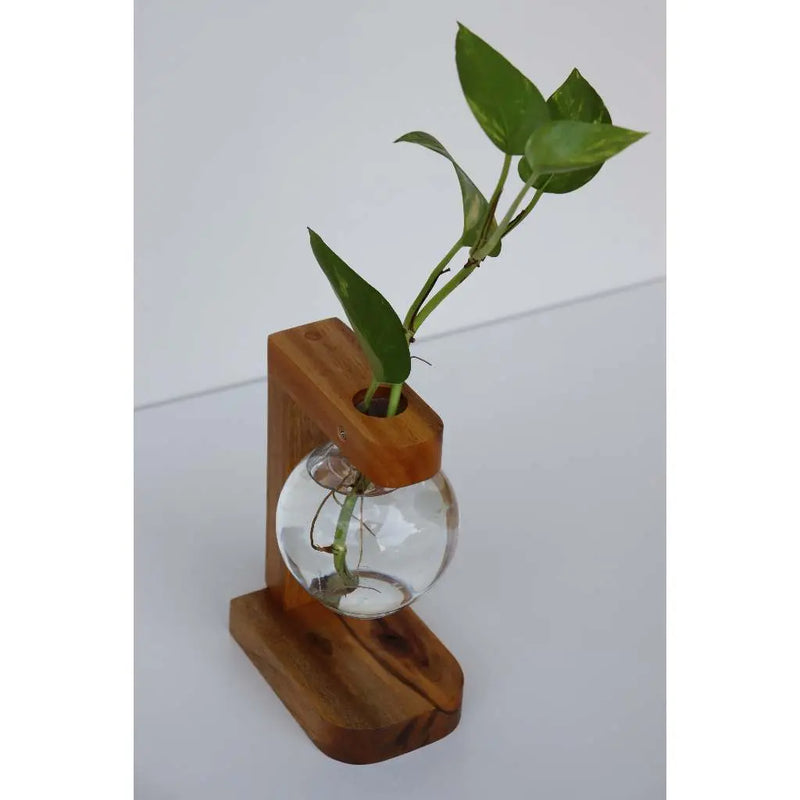 Vaso de Bulbo de madeira maciça