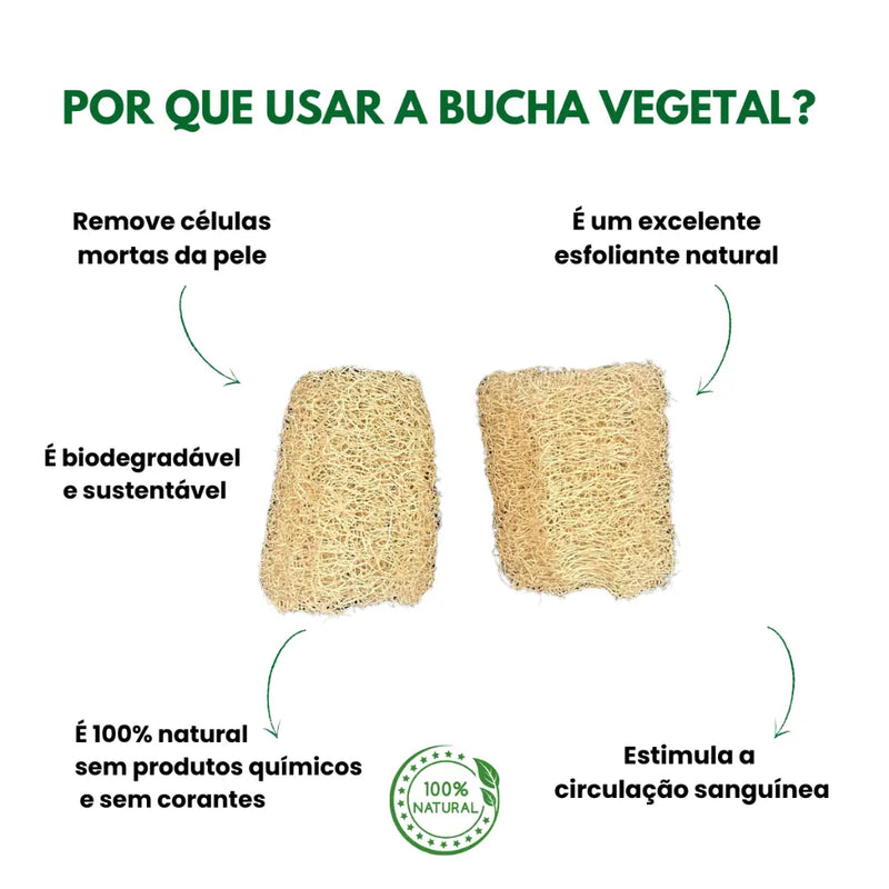 Kit 20 Buchas Vegetais (Pedaços 12 A 15 cm)