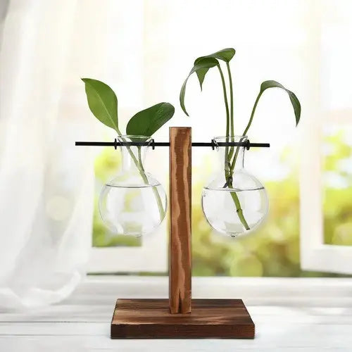 Vaso De Vidro Suporte Madeira Plantador Planta Bonsai