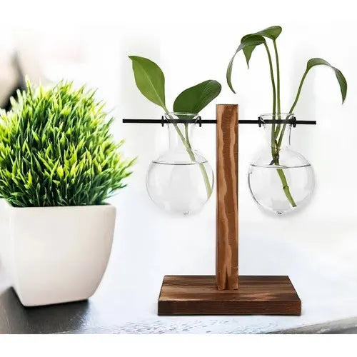 Vaso De Vidro Suporte Madeira Plantador Planta Bonsai