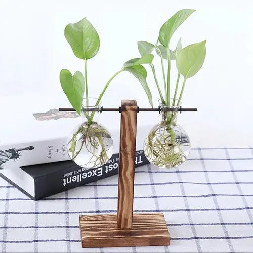 Vaso De Vidro Suporte Madeira Plantador Planta Bonsai